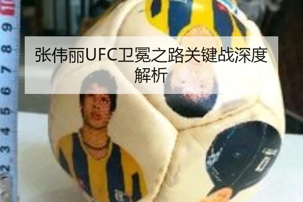 zhang-wei-li-wei-mian-zhi-lu-guan-jian-zhan-shen-du-jie-xi-2-617.jpg